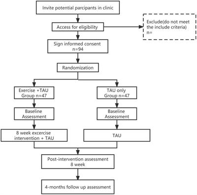 Effect of online aerobic exercise training in patients with bipolar depression: Protocol of a randomized clinical trial